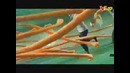 One Piece Kaizoku Musou HD Official Trailer