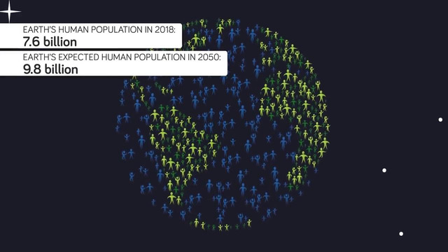Мир инфографики – Сможет ли человечество выжить без деревьев