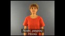 Уроки жестовой речи. Одежда обувь цвета