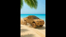 Automobile #diy Toyota Hilux toyota natural wood version #toyota