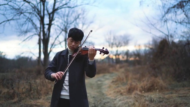 Spring Day – BTS (violin cover)