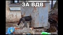 Лютые приколы. Кто ты из СМЕШАРИКОВ