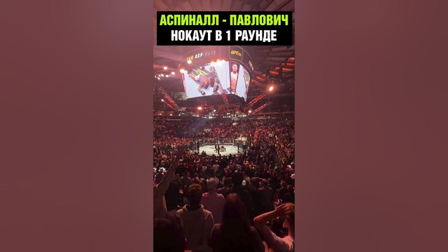 Вырубил в 1 раунде! Бой Павлович – Аспинал на UFC 295