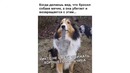 Лютые приколы. Машина приехала от бабушки