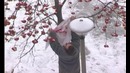 Осторожно модерн 2 6 СЕРИЯ