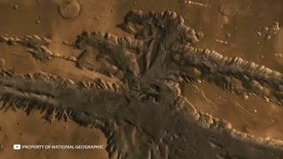 Илон Маск Рассказал об УЖАСАЮЩЕМ Открытии NASA на Марсе
