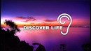 Uppermost – Discover Life