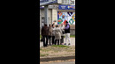 Парадокс дня