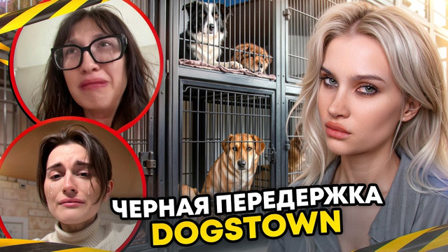 Разоблачение собачьей передержки за 6.000.000 рублей в месяц