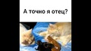 А точно я отец
