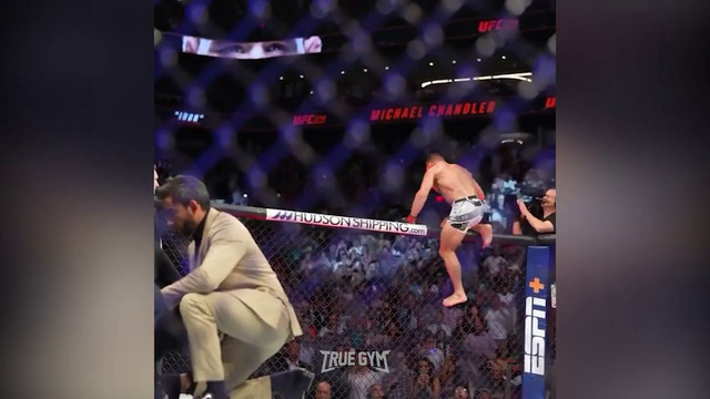 Бой Фергюсон – Чендлер / ВЫРУБИЛ С ОДНОГО УДАРА! Безумный нокаут на UFC 274