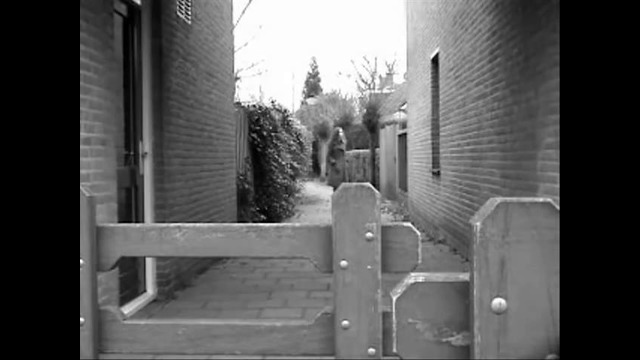 Eels – I need some sleep