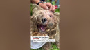 Faith in humanity restored