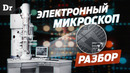 КАК РАБОТАЕТ ЭЛЕКТРОННЫЙ МИКРОСКОП? | РАЗБОР