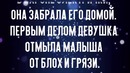 Рыжий котенок был весь в блохах и грязи