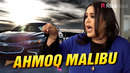 Sketch SHOW – Ahmoq Malibu