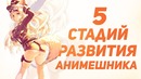 5 стадий развития АНИМЕШНИКОВ