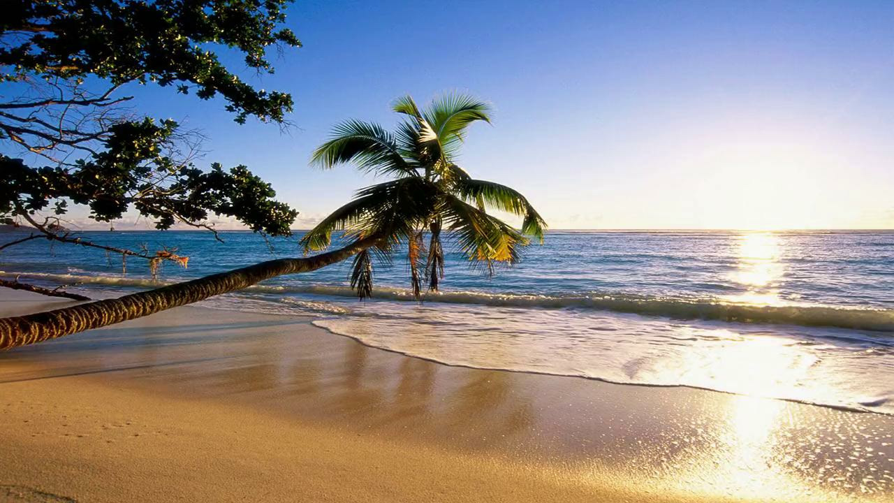 Chillout Breeze – Shining Sleep (8) - Mover.uz