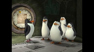 Пингвины из Мадагаскара (сезон 2 ) 1 серия