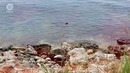Випассана. Познай свой внутренний мир