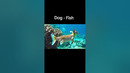 Dog – Fish