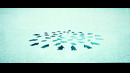 Save Us – Last Of Me (Official Music Video 2026)