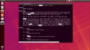 3.Linux для Начинающих – Работа с Терминалом