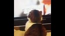 Говорили же, не смотри страшные фильмы