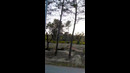 Guy Jumps Off Dirt Ramp and Lands Into Van | People Are Awesome #shorts