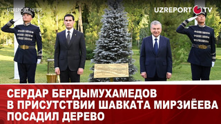 Сердар Бердымухамедов в присутствии Шавката Мирзиёева посадил дерево