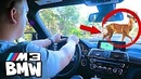Warpath VLOG | 6 Часов Пкти Challenge на BMW M3