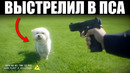 Копы, Снявшие Собственные Преступления