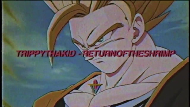 TrippyThaKid – ReturnOfTheShrimp (Prod. swvde.)