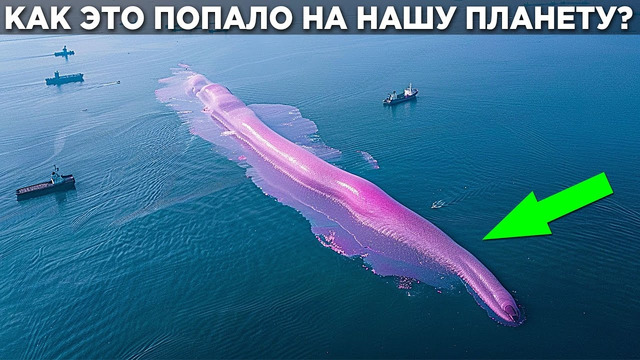 Ученые В Тупике! Они Не Понимают КАК Этот ОБЪЕКТ Оказался На Нашей ПЛАНЕТЕ