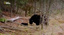 Nat Geo Wild: Тайны дикой природы. Серия 3. Затерянные миры