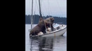 Unusual Memes Compilation v67