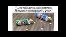Лютые приколы. 1000 день карантина. ЕДЕТ КРЫША