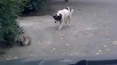 Подкрался незаметно