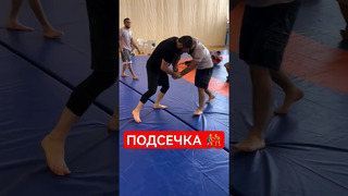 Ислам Махачев VS Зубайра Тухугов: ПОДСЕЧКА #shorts