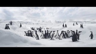 Гениальные пингвины