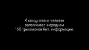 Знаете ли вы? №2