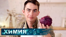Домашняя химия | Химия
