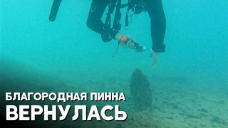 В Хорватии снова обнаружили почти вымершего моллюска
