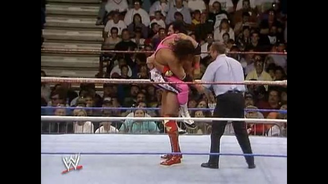 Bret Hart vs Razor Ramon Royal Rumble 1993