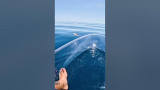 Transparent Kayak Hits Different In Deep Water. #shorts