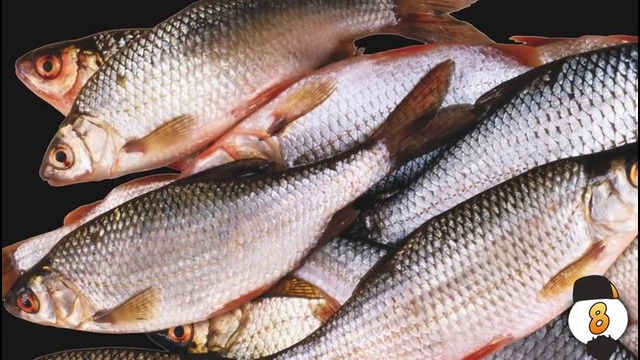 10 самых странных болезней