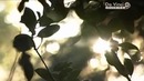 BBC: История математики За пределы бесконечности