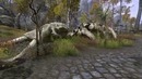 An Introduction to The Elder Scrolls Online