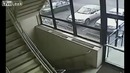 Собака учуяла землетрясение