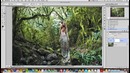 Fairytale Forest – Color and Light Effects Tutorial (PSD Box)